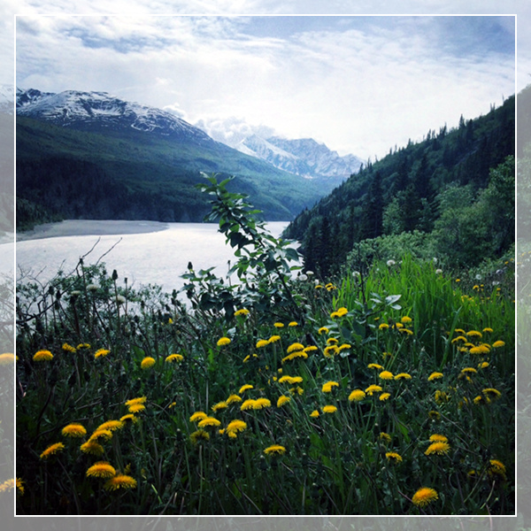 Law Offices of Insurance Defense Attorneys Richmond & Quinn in Anchorage, AK